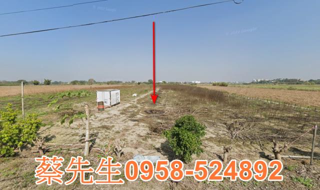 嘉義農地法拍-9