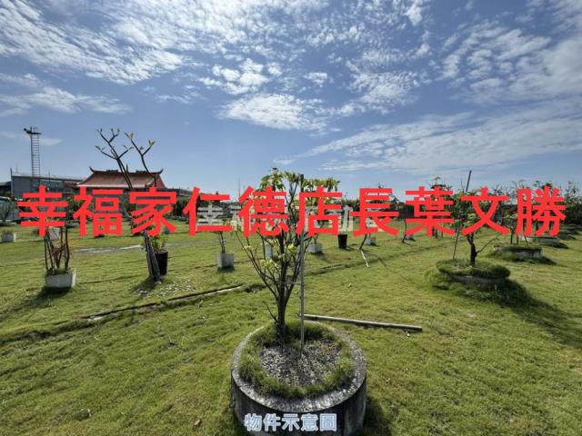 台南七股農地-7