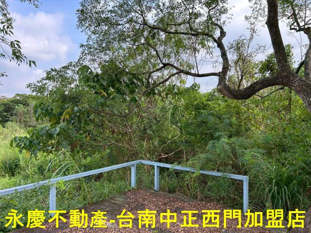 台南楠西農地-0