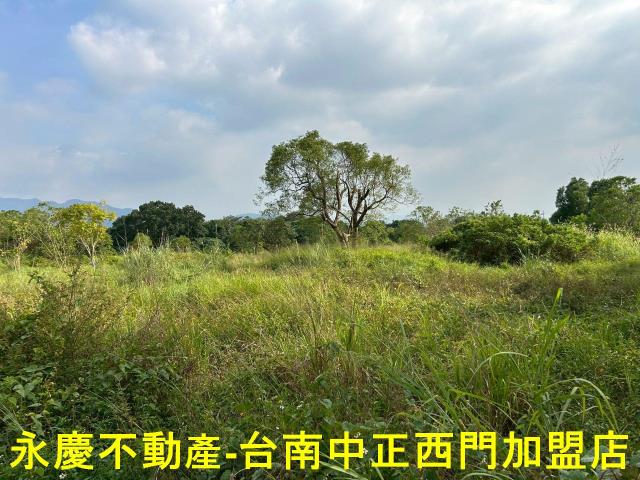 台南楠西農地-3