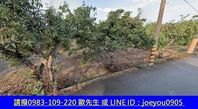 屏東長治農地法拍-4