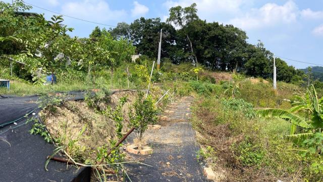 新竹寶山農地-11