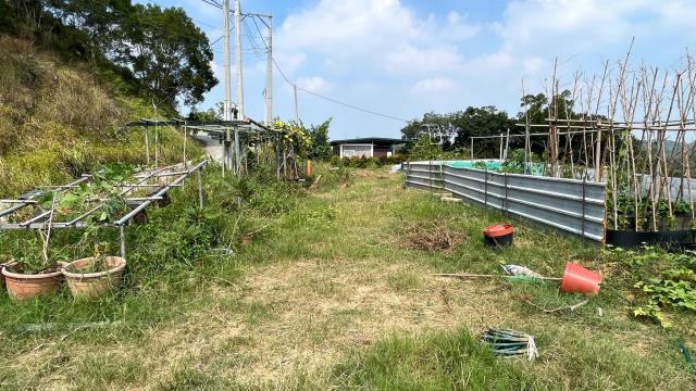 新竹寶山農地-2