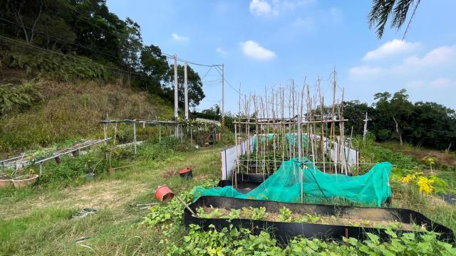 新竹寶山農地-3