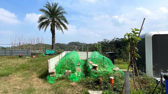 新竹寶山農地-8