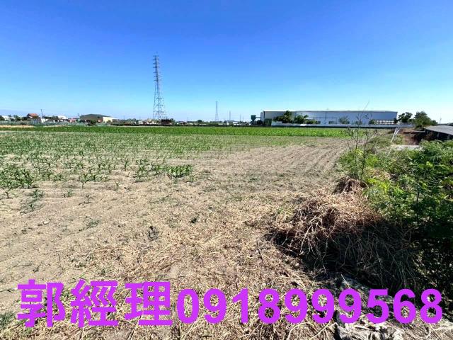 學甲農地-12