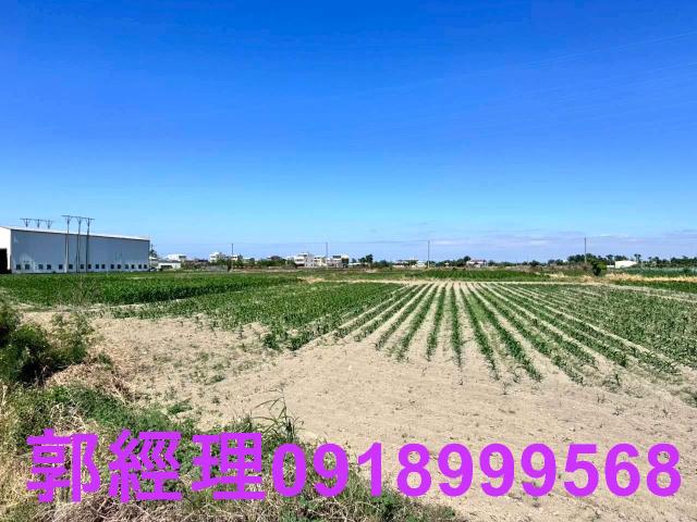 學甲農地-5