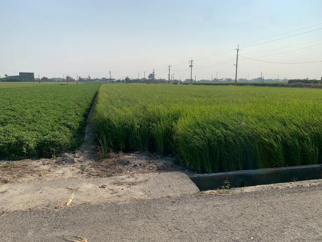 嘉義農地-4