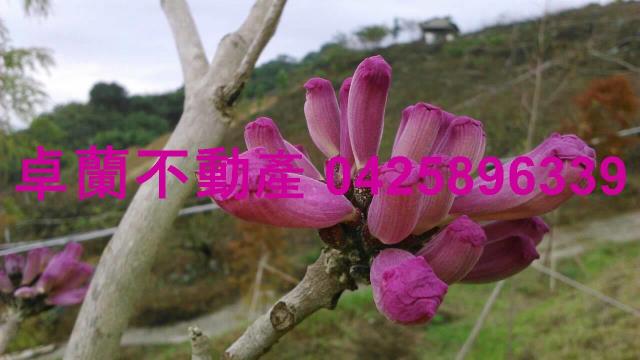 苗栗農地_休閒地-5