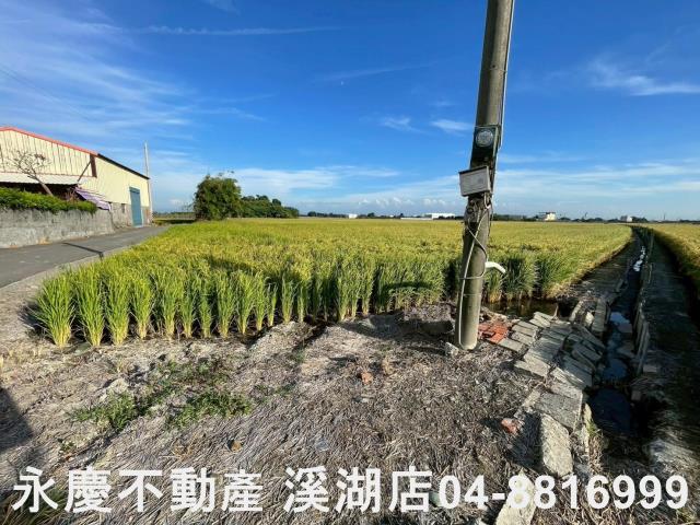 彰化二林農地-4