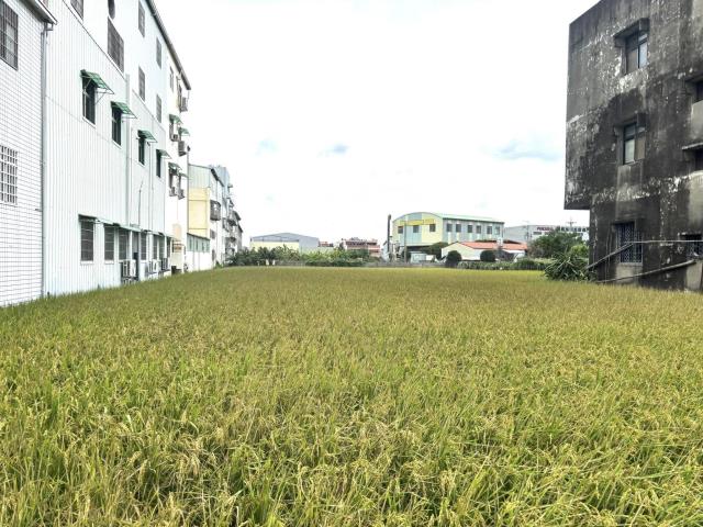 神岡農地_建地-6