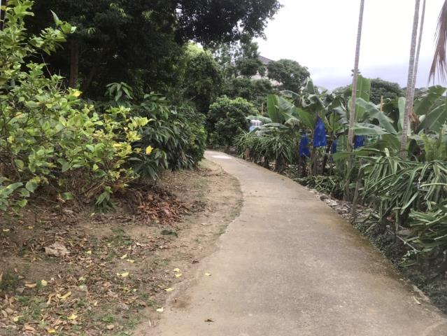 台中太平農地_建地-3