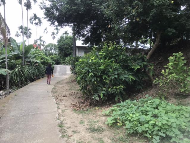 台中太平農地_建地-4