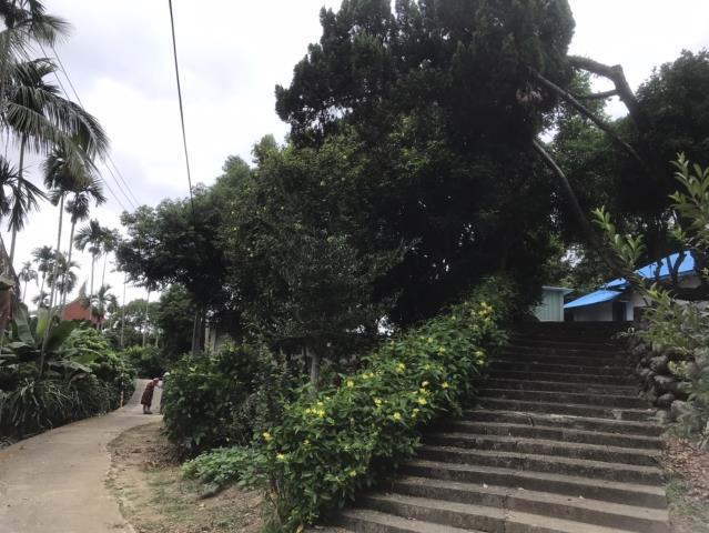 台中太平農地_建地-5