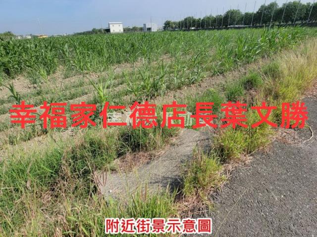 台南麻豆農地-12