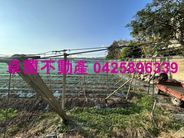 卓蘭農地-8