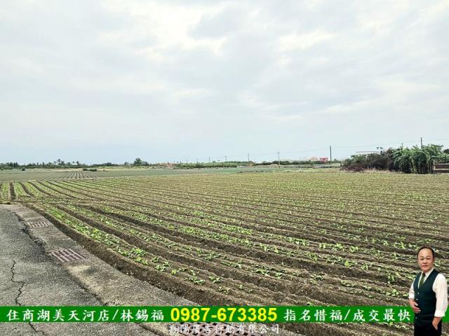 台南農地_建地-9