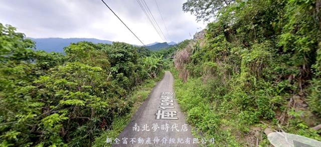 台南楠西山坡地_林地-2