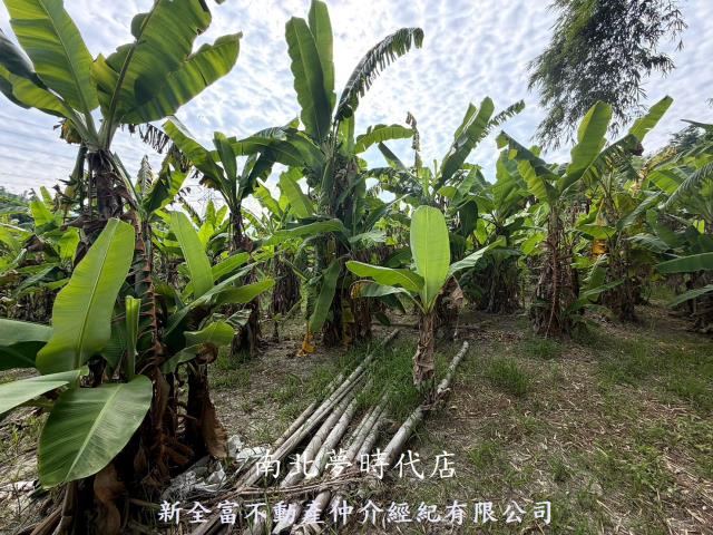 台南左鎮農地-11