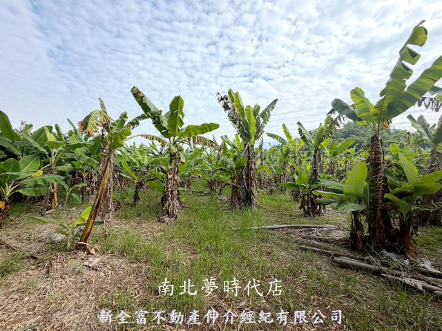 台南左鎮農地-2