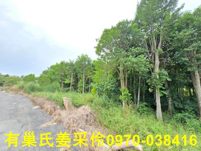 嘉義民雄農地-15