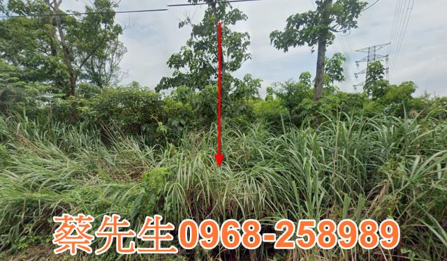 桃園龍潭農地法拍-4