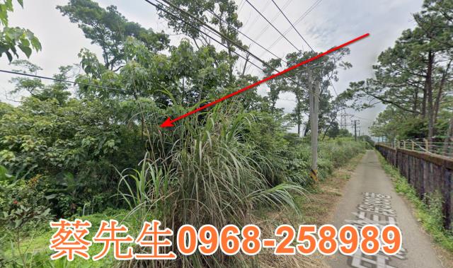 桃園龍潭農地法拍-5