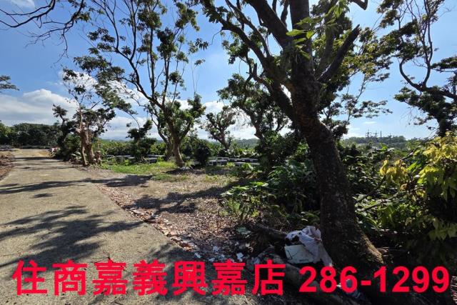 嘉義水上農地-9