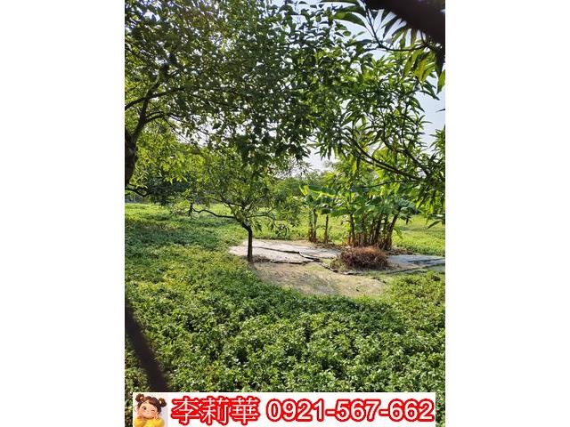 高雄岡山農地-12