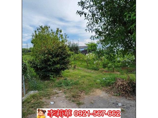 高雄岡山農地-8