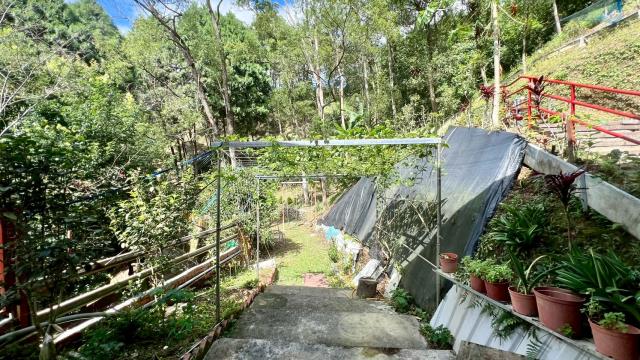 橫山山坡地_休閒地_林地-11