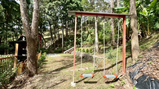 橫山山坡地_休閒地_林地-12