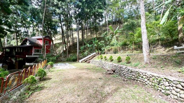 橫山山坡地_休閒地_林地-14