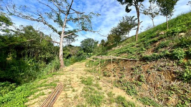 新竹農地_山坡地_休閒地-11