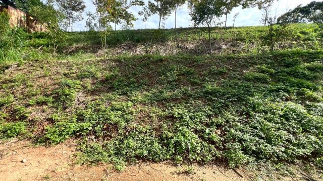 新竹農地_山坡地_休閒地-12