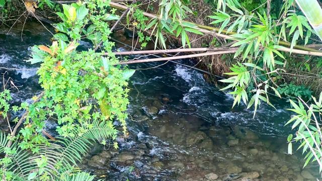 新竹農地_山坡地_休閒地-13