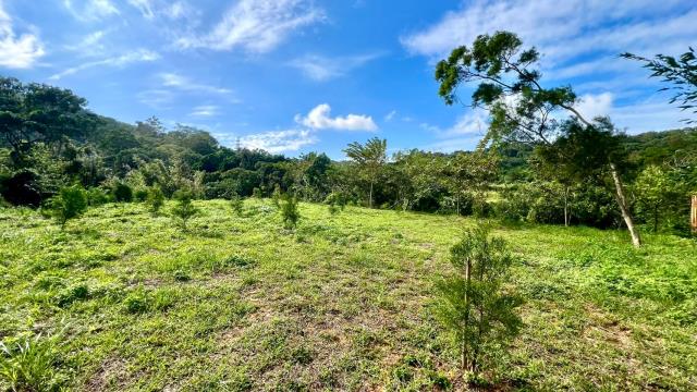 新竹農地_山坡地_休閒地-5