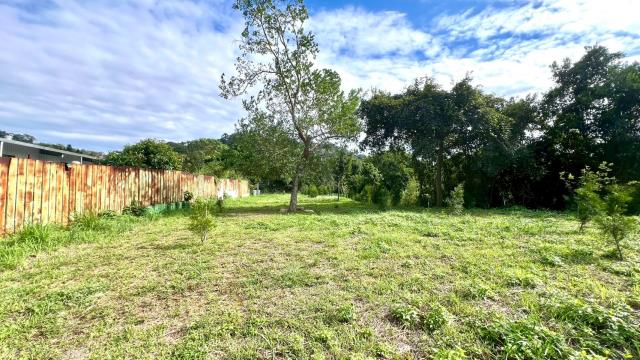 新竹農地_山坡地_休閒地-6