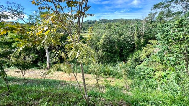 新竹農地_山坡地_休閒地-7