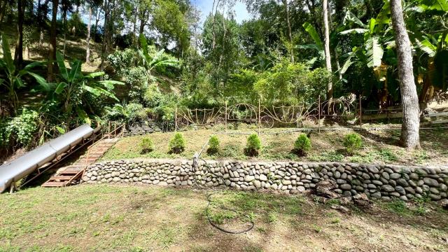 新竹山坡地_休閒地_林地-13