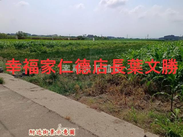 台南安定農地-1
