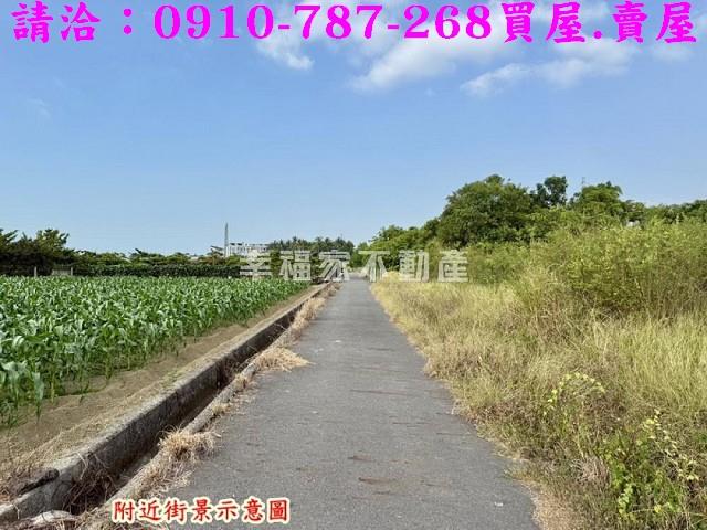 台南新市農地-3