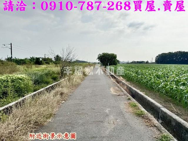 台南新市農地-7