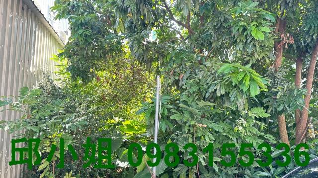 嘉義竹崎建地-2