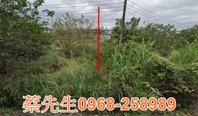 新竹芎林法拍農地-9