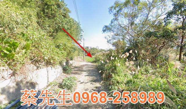 北埔農地法拍-10