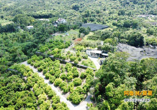 嘉義阿魯米建地農地買賣台灣房屋嘉義湖子內店富鑫團隊呂昆佩