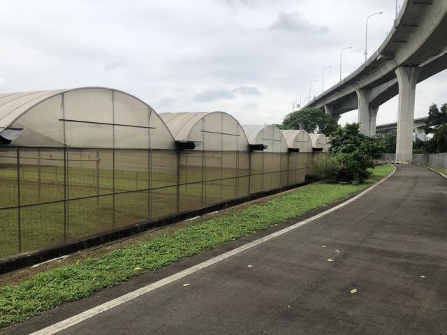 桃園桃園區農地-1