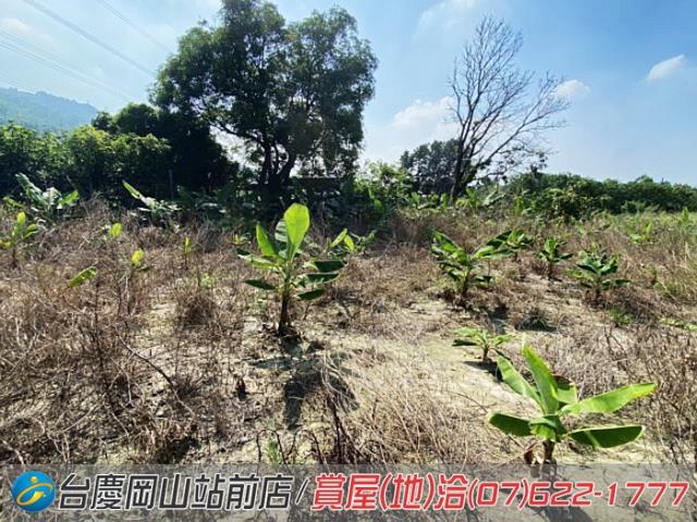 高雄阿蓮農地-6