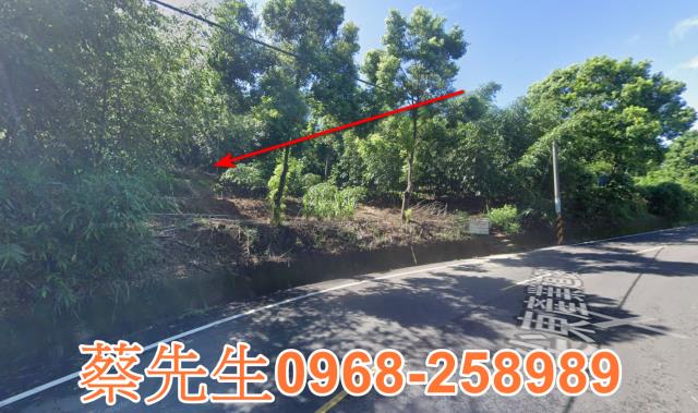 頭份法拍農地-14